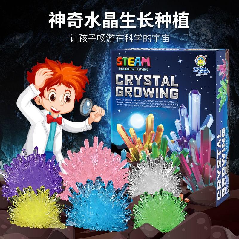 Crystal + Tree Growing Experiment Kit, Hobbies & Toys, Toys & Games on