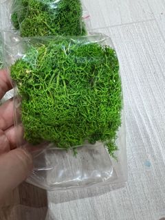 （分類：）位於 。 由 ohala_lala 提交（商品編號 1149954599，圖片 1）。簡介： 。