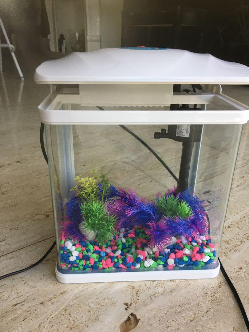 Help! Grandparents Gave My Daughter A One Gallon Desktop, 52 OFF