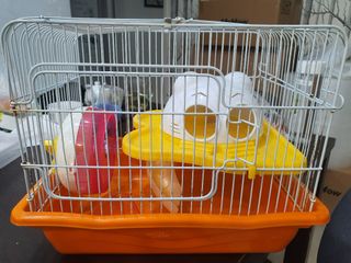 (Category: ) located in . Submitted by kiongster (Listing ID 1149810511, Image 1). Description: .