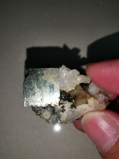 (Category: ) located in . Submitted by crystallisa (Listing ID 1149978294, Image 1). Description: .