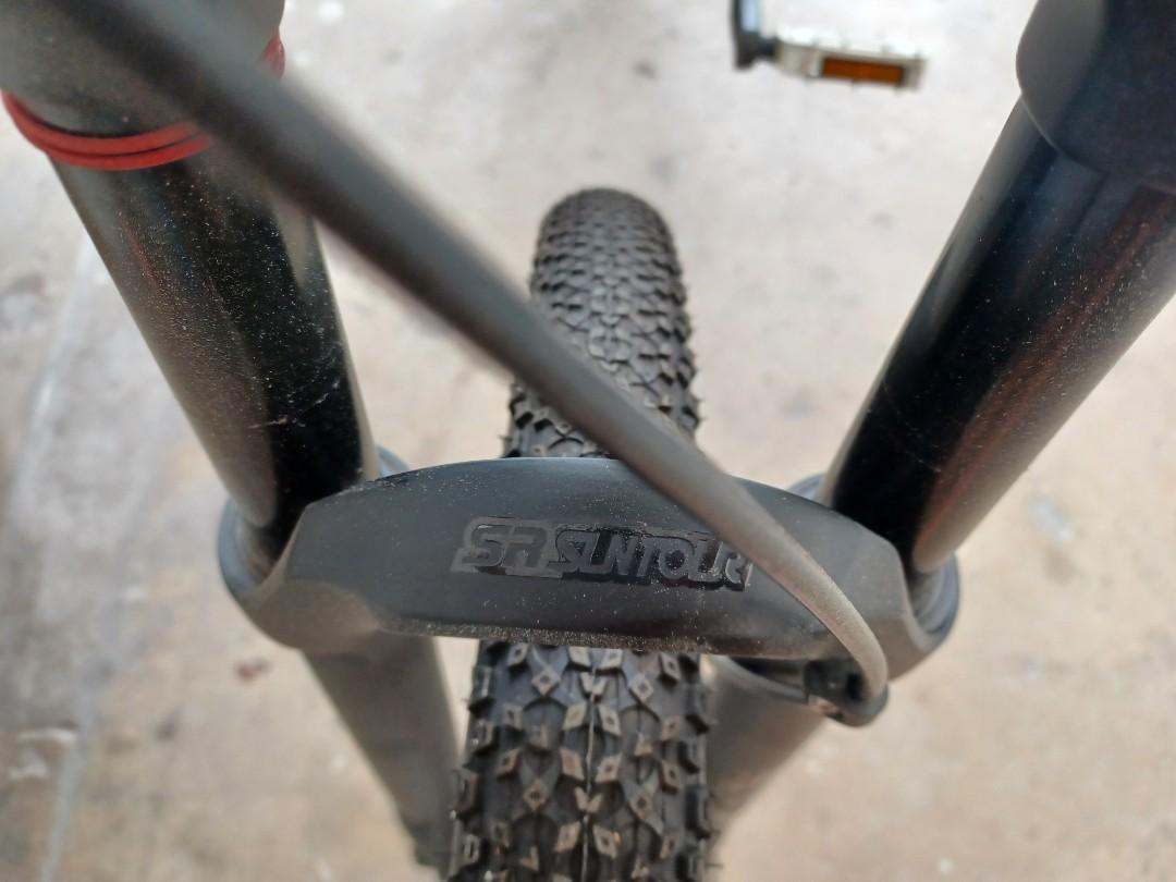 raleigh enduro pro