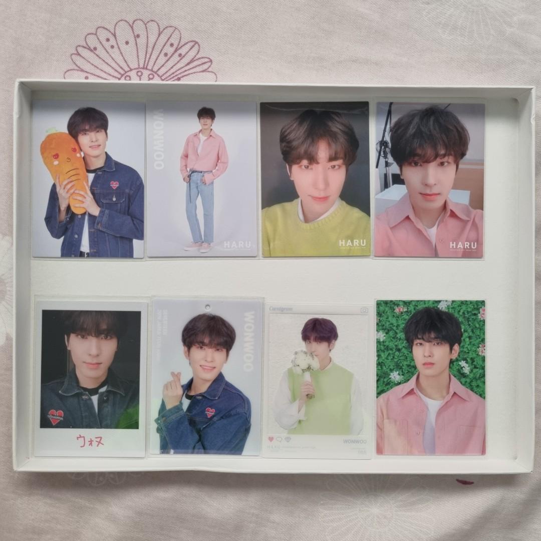 SEVENTEEN WONWOO グッズセット SEVENTEEN WONWOO グッズセット ウォヌ うちわ8枚 アクスタ