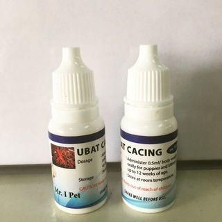 Affordable Anak Kucing For Sale Health Grooming Carousell Malaysia