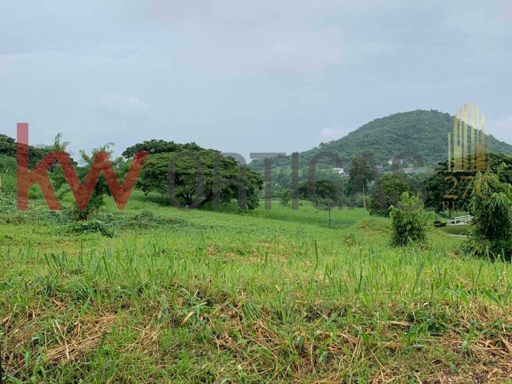 Vacant Lot for Sale at Ayala Greenfield Estates, Calamba, Laguna
