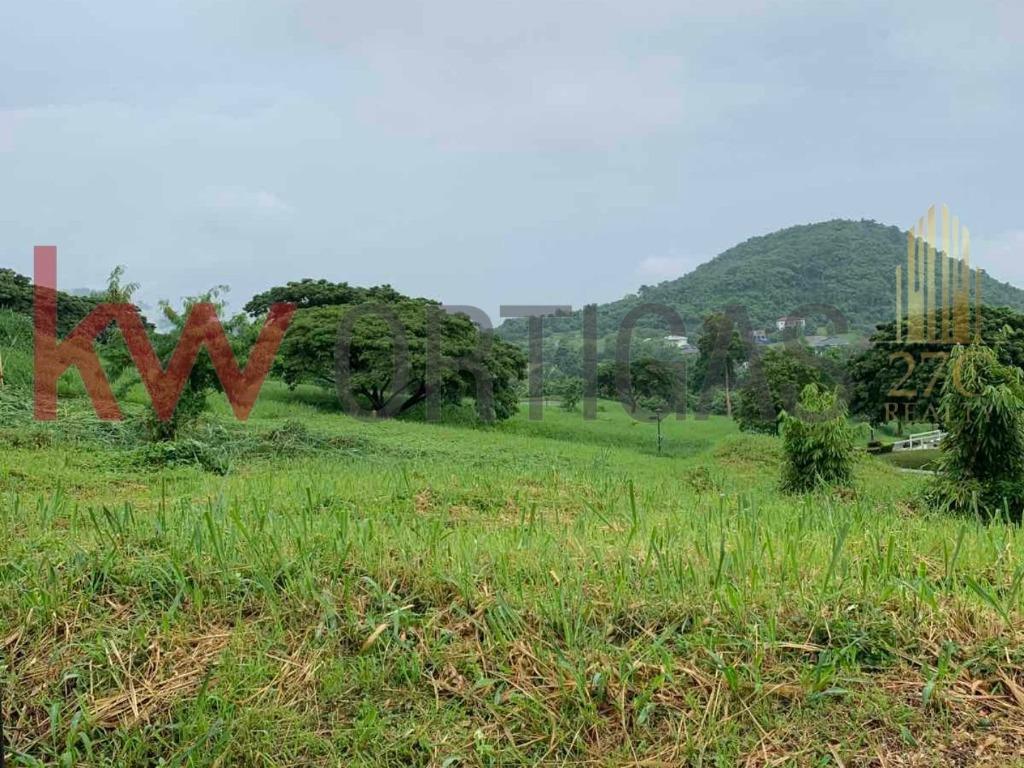 Vacant Lot for Sale at Ayala Greenfield Estates, Calamba, Laguna