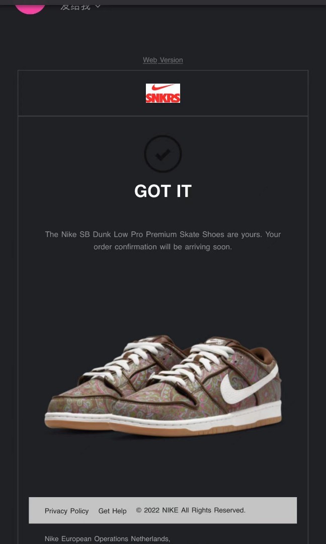 dunk low pro premium