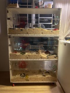 (Category: ) located in . Submitted by sellingitemsonly (Listing ID 1146693454, Image 1). Description: .