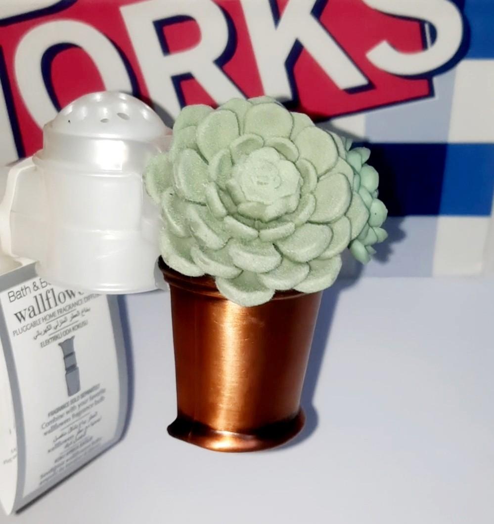Bath & Body Works Succulent Wallflower Plug (220V240V) Store Bought