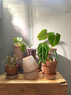 （分類：）位於 。 由 mollymeg 提交（商品編號 1146678332，圖片 1）。簡介： 。