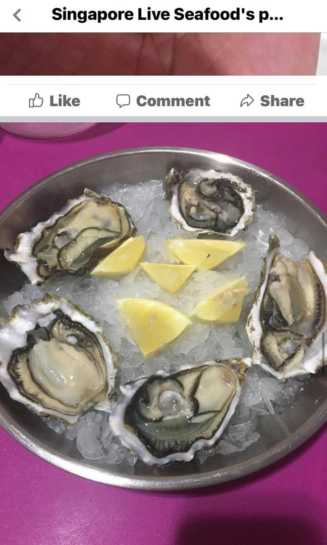 Canada Oyster 3.94”, Food & Drinks, Fresh Produce on Carousell