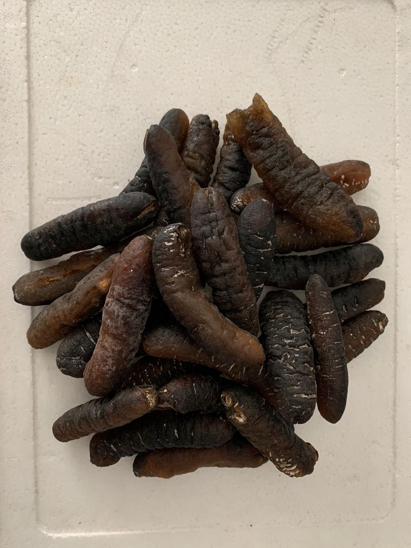 Dry Sea Cucumber, Health & Nutrition, Health Supplements, Health Food, Drinks & Tonics on Carousell