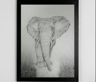 Elephant Drawing Wall Art