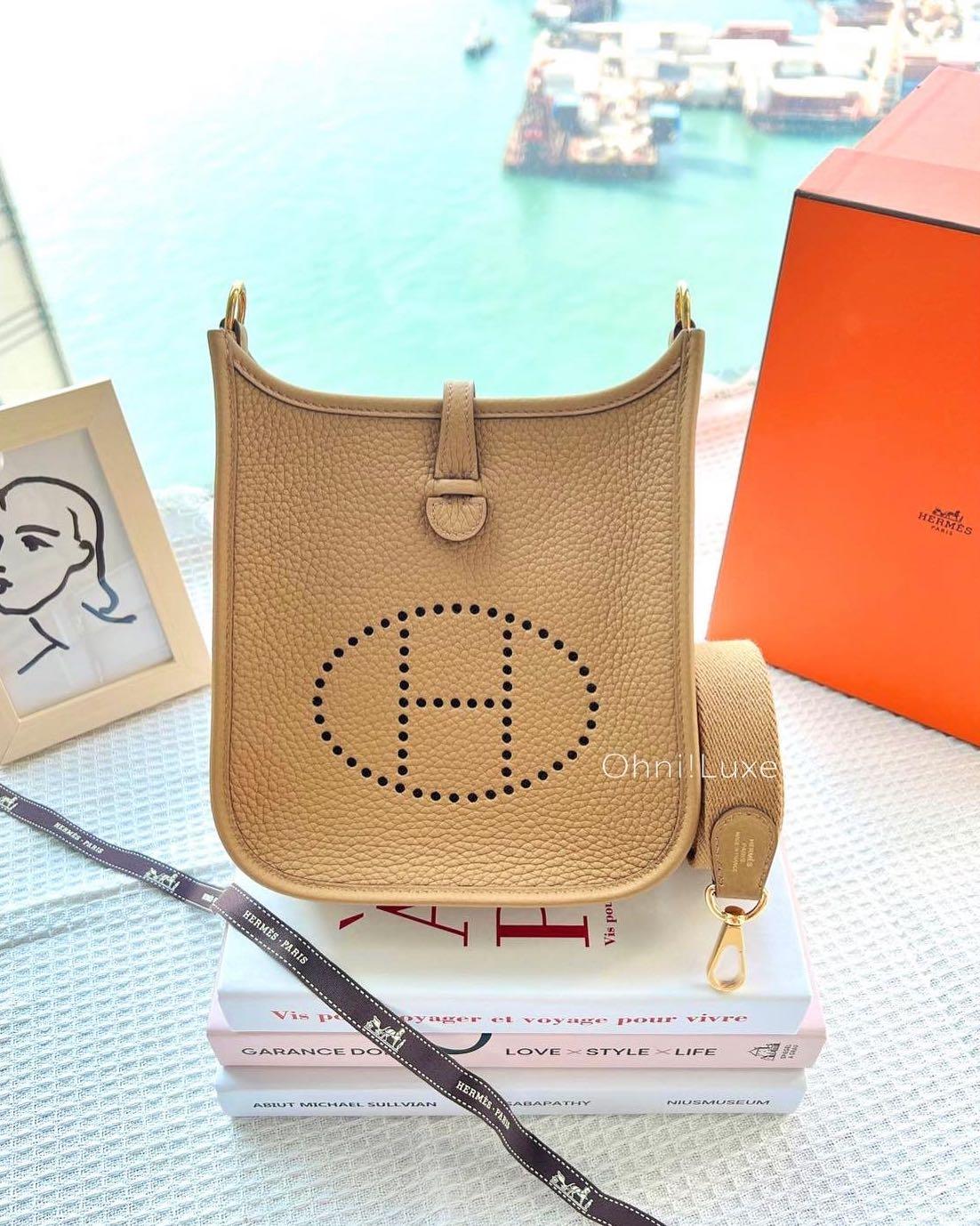 mini evelyne hermès