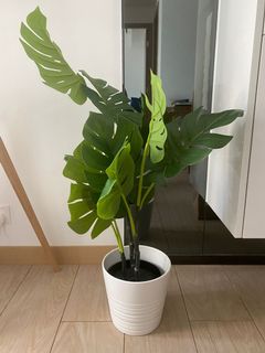 （分類：）位於 。 由 ajanec 提交（商品編號 1146617555，圖片 1）。簡介： 。