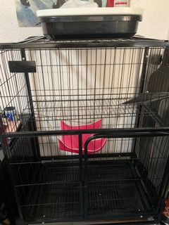 (Category: ) located in . Submitted by cheekycococat (Listing ID 1146565073, Image 1). Description: .