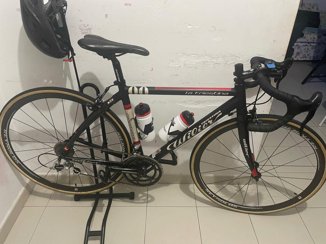 Wilier la triestina competizione 00 store