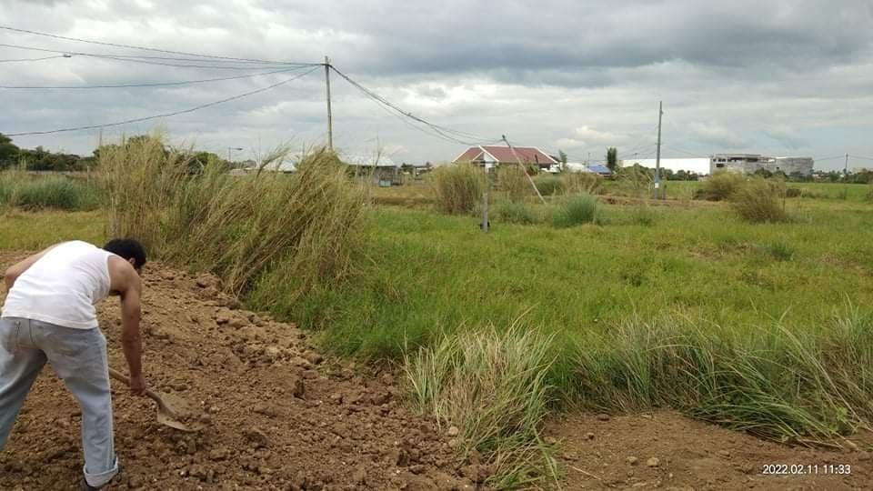 440 sqm lot for Lease in Bayanihan Gapan, Nueva Ecija, Property