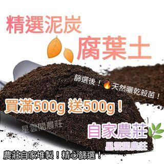 Monstera Borsigiana Albo 白龜背竹 A 暫不出售 傢俬 家居 園藝 土壤和肥料 Carousell