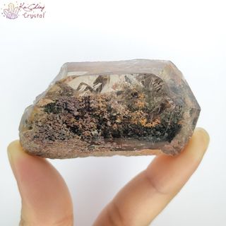 （分類：）位於 。 由 ka-chingcrystal 提交（商品編號 1150128589，圖片 1）。簡介： 。