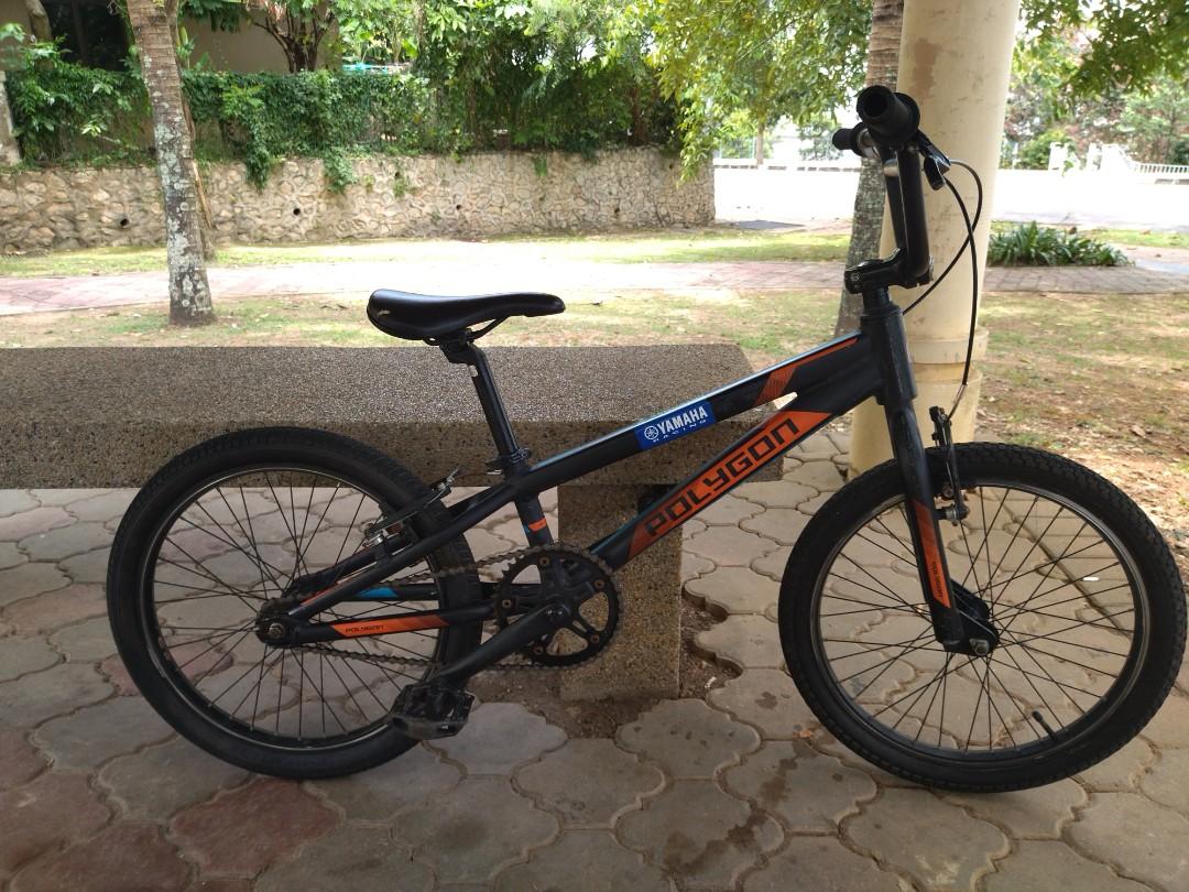 Polygon best sale bmx blizzard