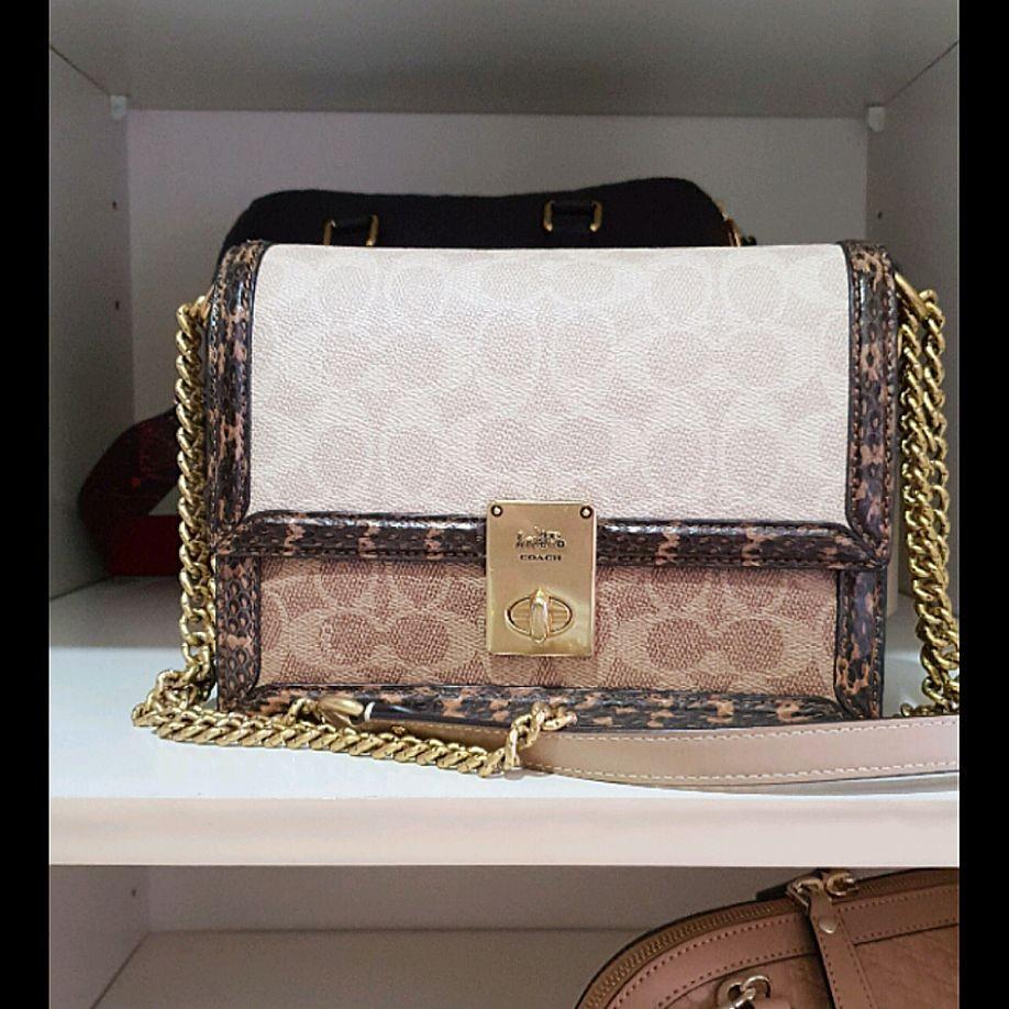 hutton snakeskin