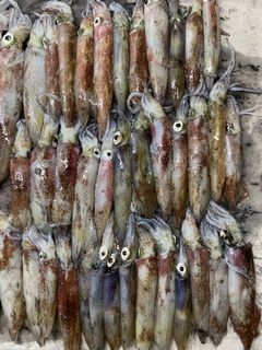 (Category: ) located in . Submitted by fishingbud (Listing ID 1150111438, Image 1). Description: .
