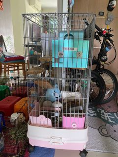 (Category: ) located in . Submitted by bljja (Listing ID 1150071562, Image 1). Description: .