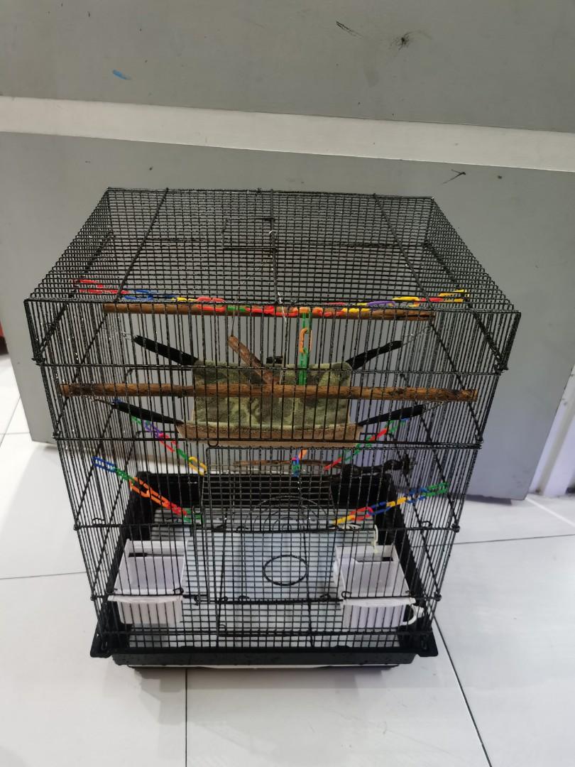 Used sugar sales glider cage