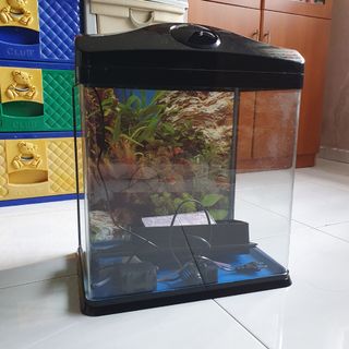 (Category: ) located in . Submitted by rebbbbbbb (Listing ID 1150278667, Image 1). Description: .