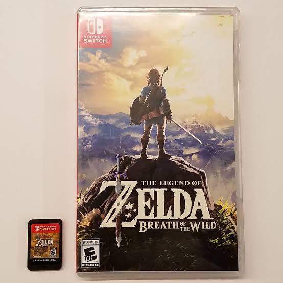 Botw game case online