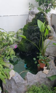 (Category: ) located in . Submitted by chankh8 (Listing ID 1150300069, Image 1). Description: .