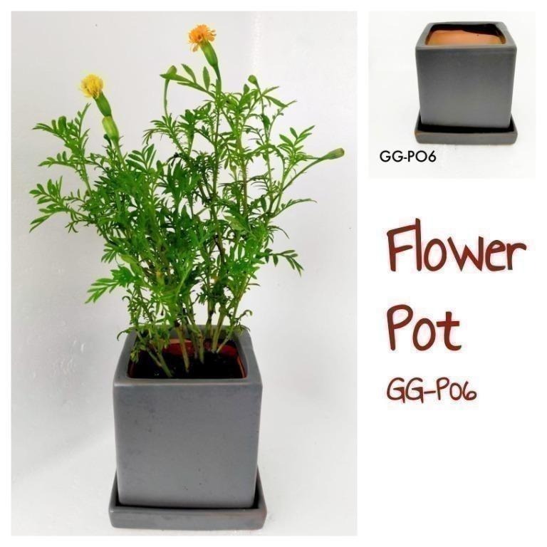 Set of Metal 3 POT PLANTER and Water Tray Each Pot 13cm Tall x 7cm SAMEDAY POST