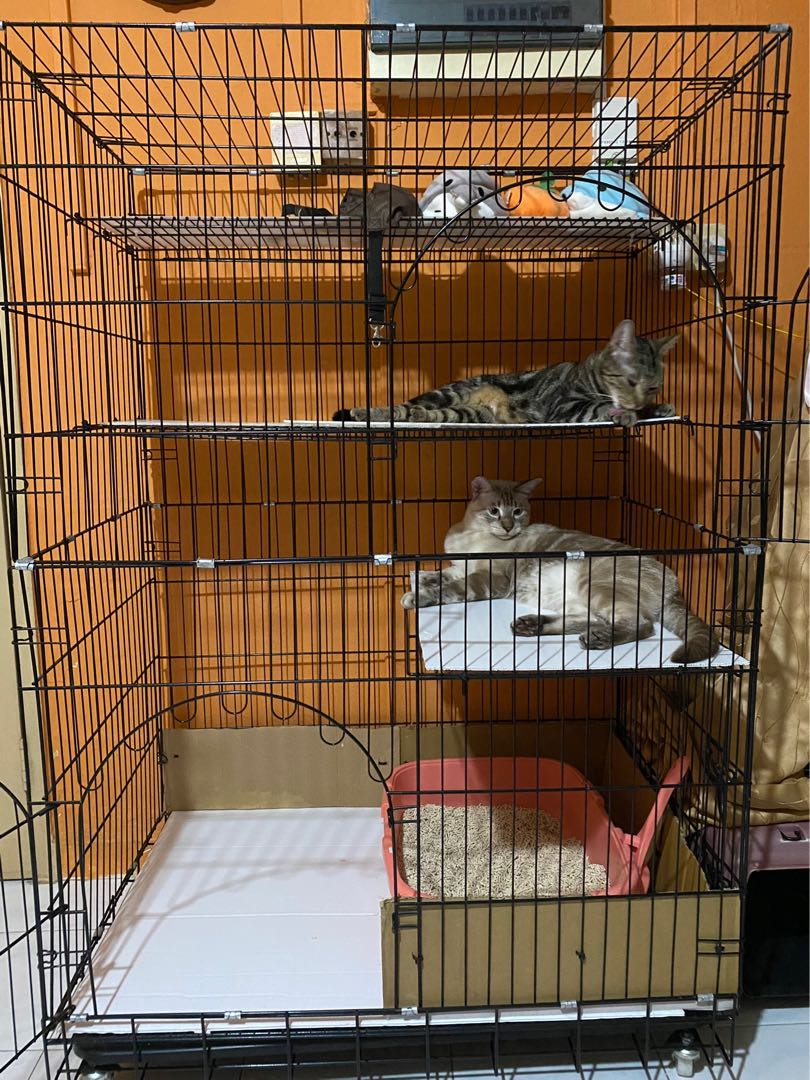 JUMBO 4 tier, 3 door pet cage with wheels , Pet Supplies, Homes & Other