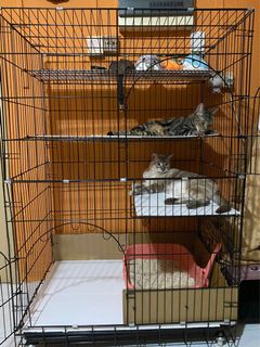 (Category: ) located in . Submitted by dess (Listing ID 1150372608, Image 1). Description: .
