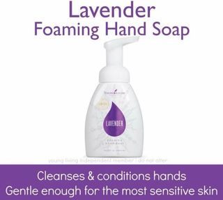 Lavender Foaming Hand Soap Young Living 薰衣草泡泡洗手液64235808017411110