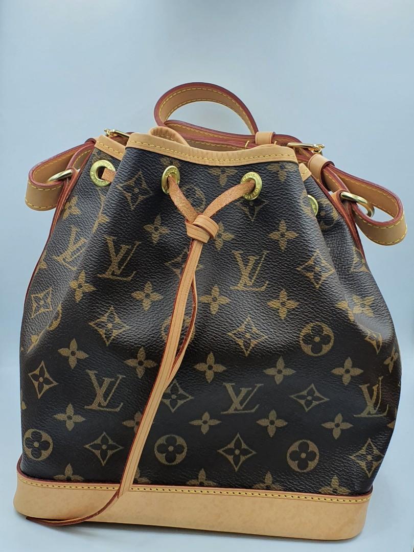 LOUIS VUITTON PETIT NOE: 6 MONTH REVIEW! Wear and tear? Is it worth it?