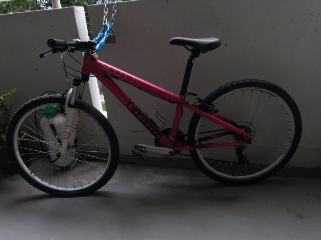 Scott contessa 650