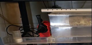 (Category: ) located in . Submitted by one9eight9 (Listing ID 1150538353, Image 1). Description: .