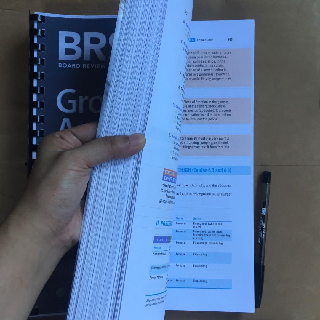 BRS GROSS ANATOMY 9th Edition, Hobbies & Toys, Books & Magazines ...