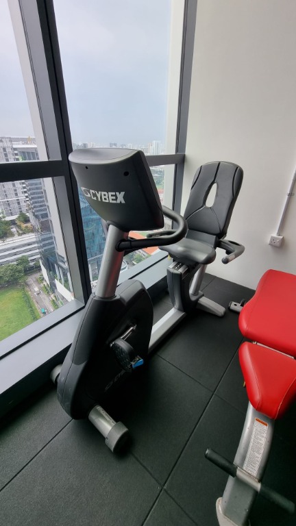 Cybex 750 recumbent bike cheap