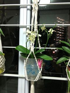 (Category: ) located in . Submitted by cheryl_yee (Listing ID 1150447890, Image 1). Description: .