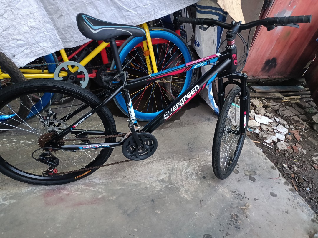 Evergreen eg 225 sepeda mtb sale