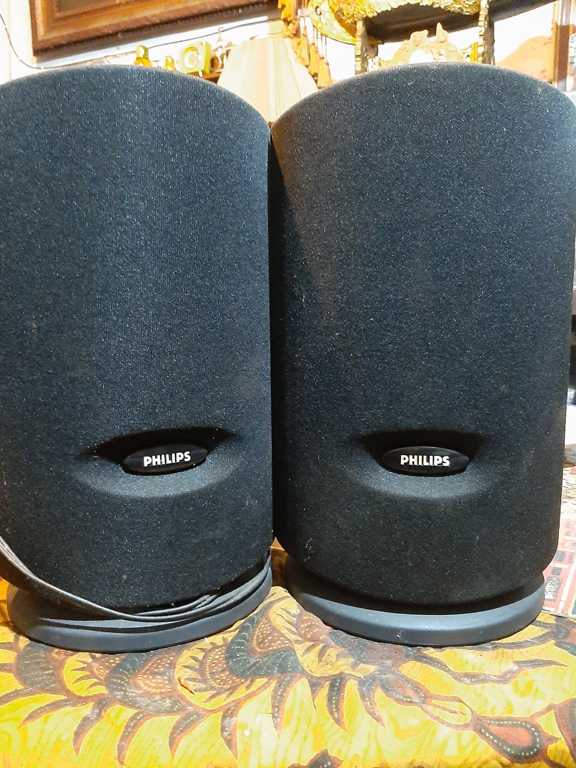 speaker philips 18 inch