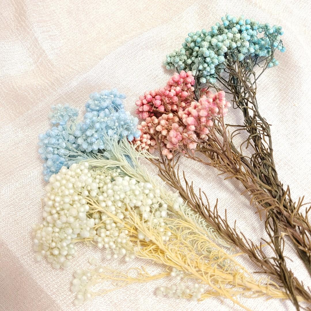 永生花材 小米花 蠟燭 擴香石 滴膠diy手作材料 興趣及遊戲 手作 自家設計 文具及工藝 手作 Carousell