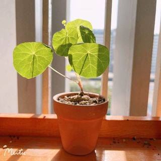 (Category: ) located in . Submitted by min2810 (Listing ID 1150629572, Image 1). Description: .