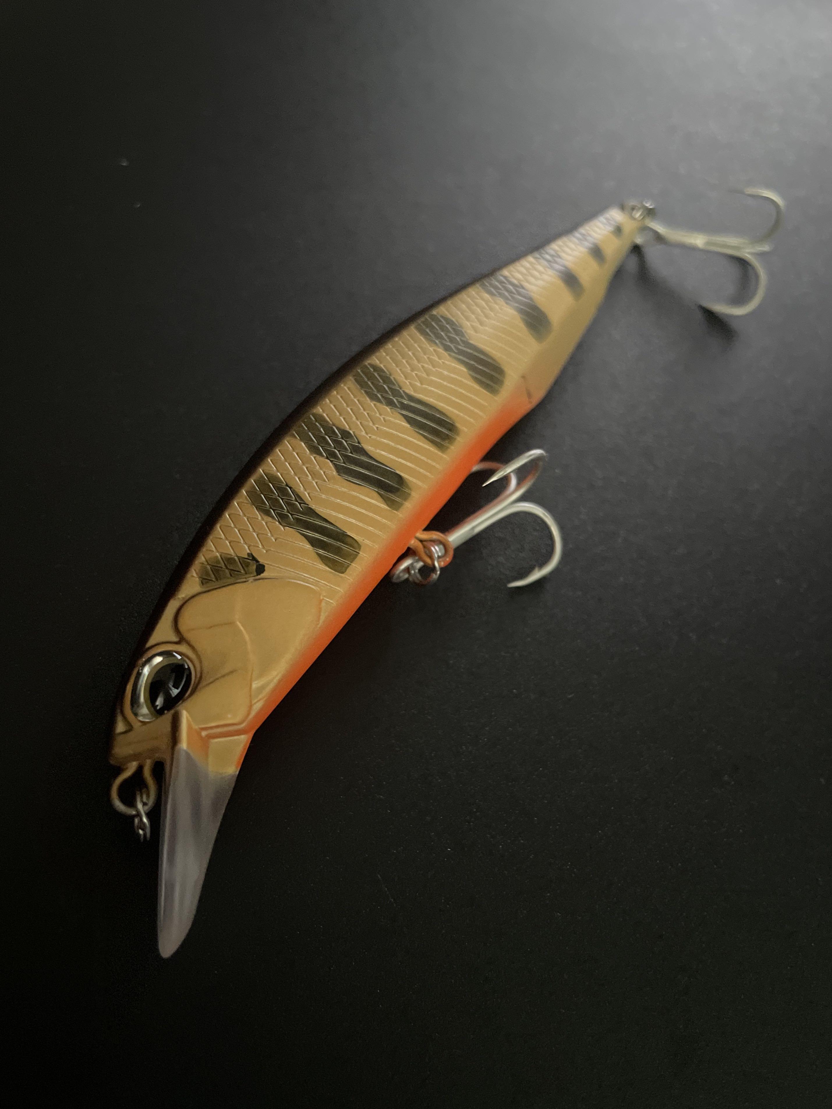 Bearking Jerkbait 100 Fishing Lure (daiwa shimano bone reel rod)