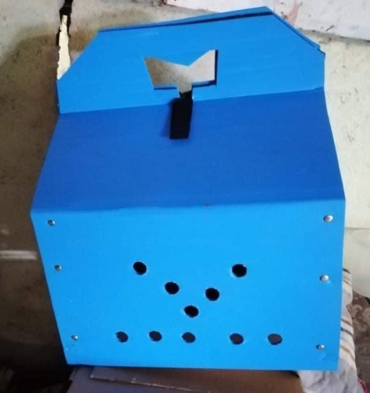 Derby box sales