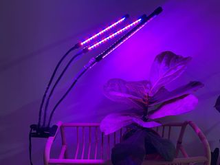 (Category: ) located in . Submitted by bytan (Listing ID 1150766816, Image 1). Description: .