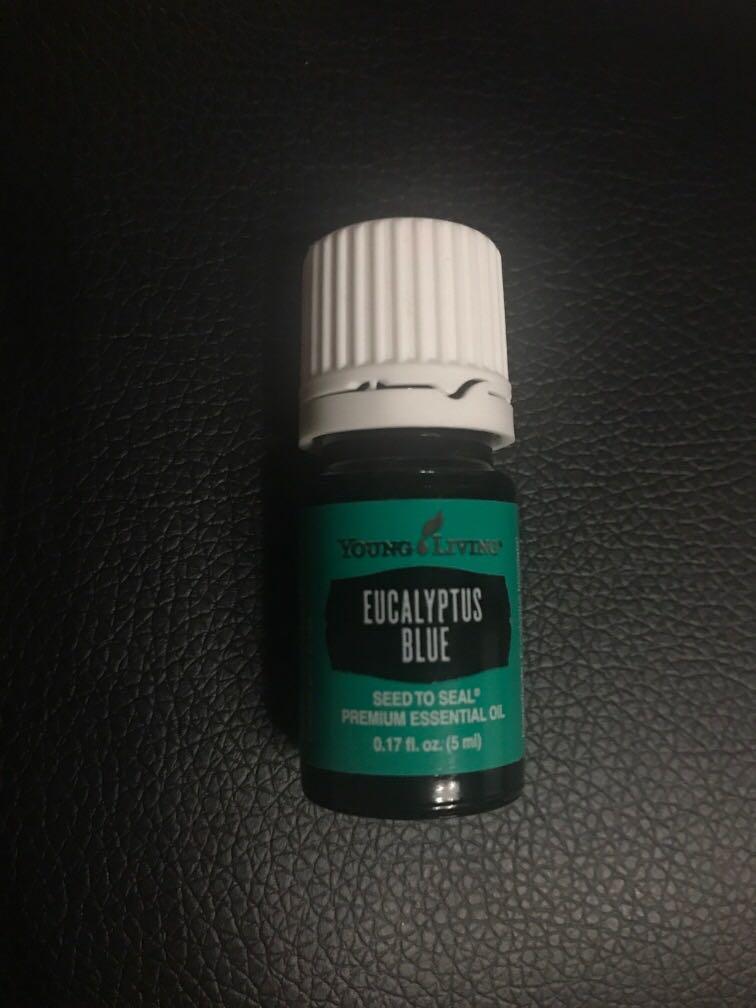 Young Living Eucalyptus Blue Essential Oil (Category: Home Fragrance) located in Quezon City. Submitted by vikings19 (Listing ID 1150739054, Image 1). Description: There are 3 types of eucalyptus in Young Living, Eucalyptus Globulus, Eucalyptus Radiata and Eucalyptus Blue… each has its own distinct scent that is well-loved as part of the eucalyptus family. Eucalyptus blue essential oil is mainly found in Australia. It comes from the Young Living 